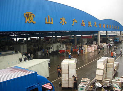 讓天下沒有難賣的魚蝦！探秘中國主要水產品批發市場