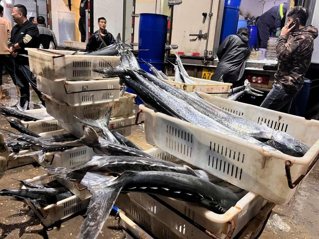 封海前最后一船海鮮抵達城陽水產批發市場，鲅魚仍唱主角